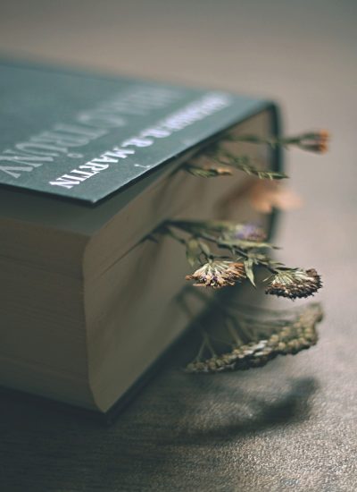 book, game of thrones, flower wallpaper